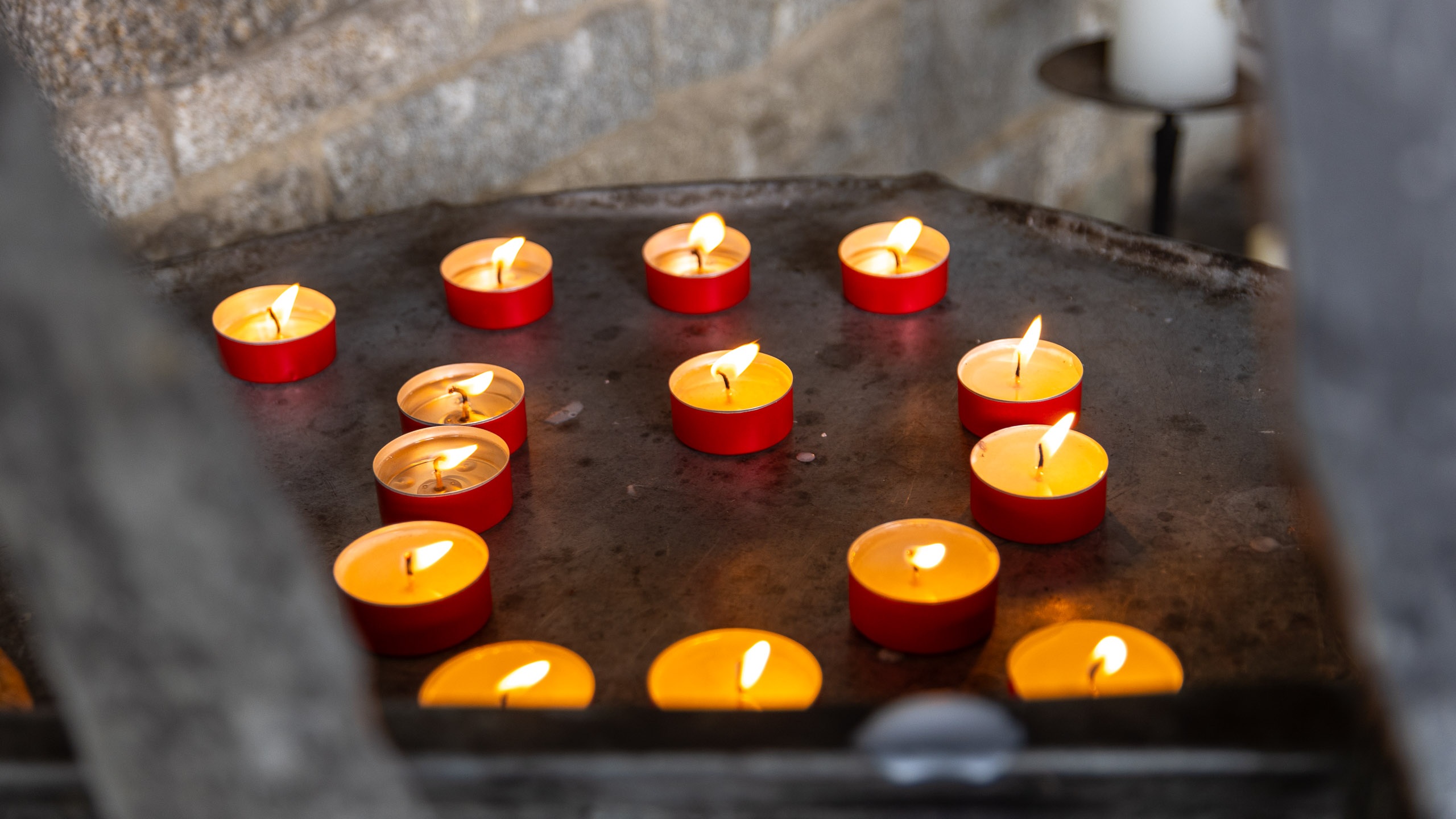 20231014113625 R5D 3967